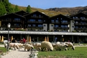 Riffelalp Resort 2222m